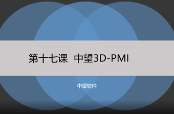 功能教程17：PMI